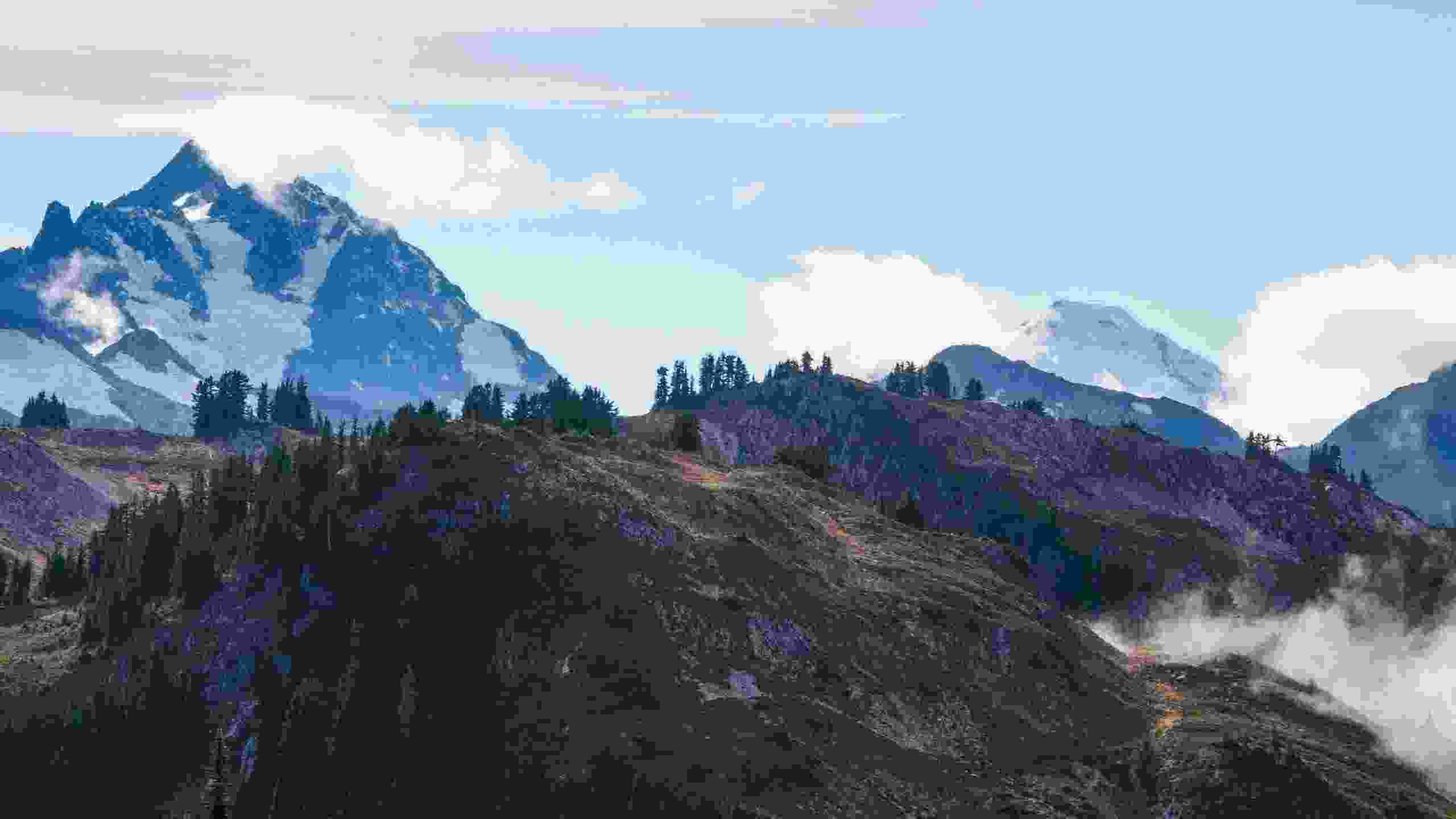 banner1